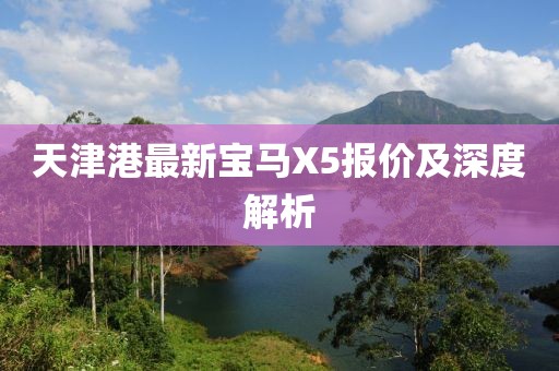 天津港最新寶馬X5報價及深度解析