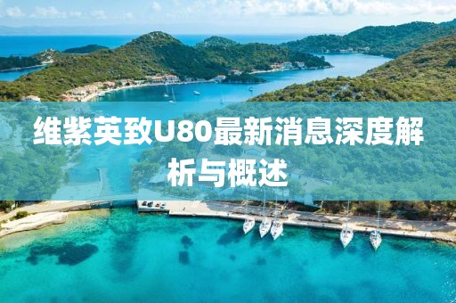 維紫英致U80最新消息深度解析與概述