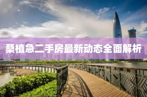 許下諾言 第14頁
