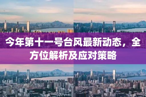 今年第十一號(hào)臺(tái)風(fēng)最新動(dòng)態(tài)，全方位解析及應(yīng)對(duì)策略