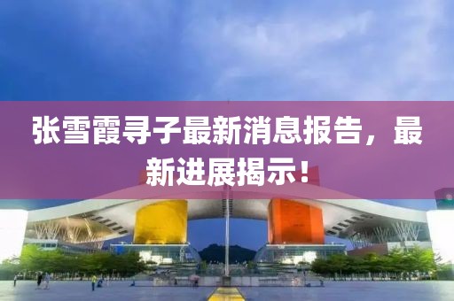 張雪霞尋子最新消息報告，最新進展揭示！