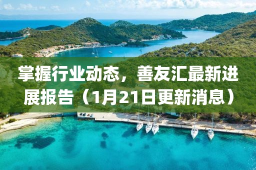 掌握行業(yè)動態(tài)，善友匯最新進展報告（1月21日更新消息）