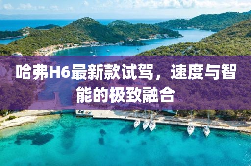 哈弗H6最新款試駕，速度與智能的極致融合