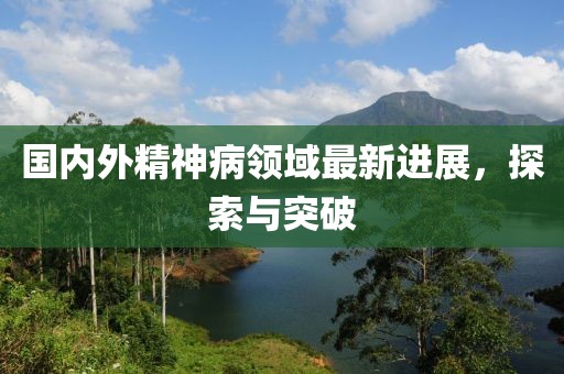 國內(nèi)外精神病領(lǐng)域最新進(jìn)展，探索與突破