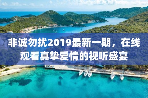 非誠(chéng)勿擾2019最新一期，在線觀看真摯愛情的視聽盛宴