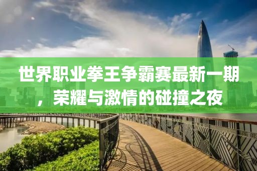 世界職業(yè)拳王爭霸賽最新一期，榮耀與激情的碰撞之夜