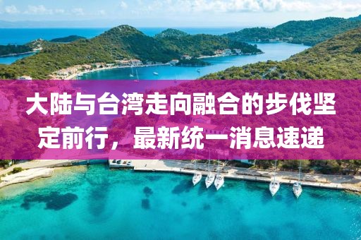 風(fēng)雨征途 第13頁
