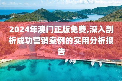 2024年澳門(mén)正版免費(fèi),深入剖析成功營(yíng)銷(xiāo)案例的實(shí)用分析報(bào)告