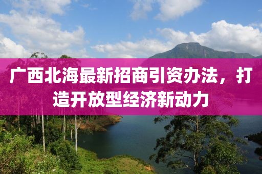 廣西北海最新招商引資辦法，打造開放型經(jīng)濟(jì)新動力