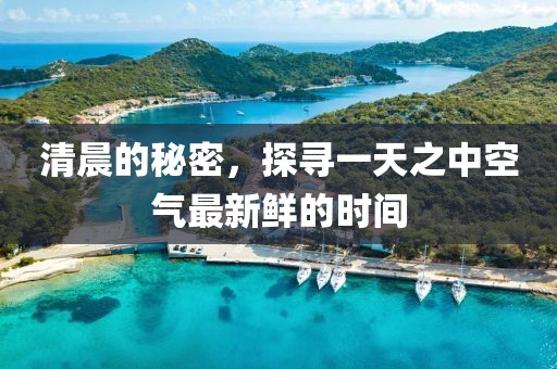 清晨的秘密，探尋一天之中空氣最新鮮的時間