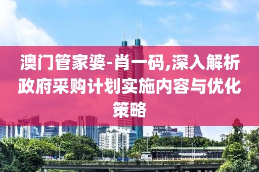 澳門管家婆-肖一碼,深入解析政府采購計(jì)劃實(shí)施內(nèi)容與優(yōu)化策略