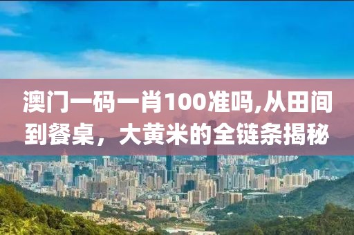 澳門一碼一肖100準(zhǔn)嗎,從田間到餐桌，大黃米的全鏈條揭秘