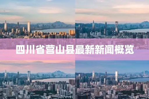 四川省營山縣最新新聞概覽
