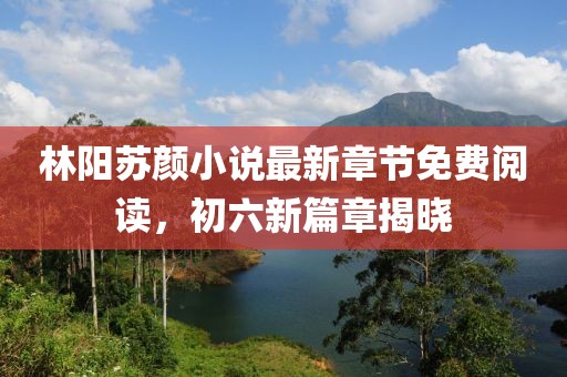 林陽蘇顏小說最新章節(jié)免費(fèi)閱讀，初六新篇章揭曉