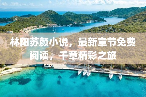 林陽蘇顏小說，最新章節(jié)免費閱讀，千章精彩之旅