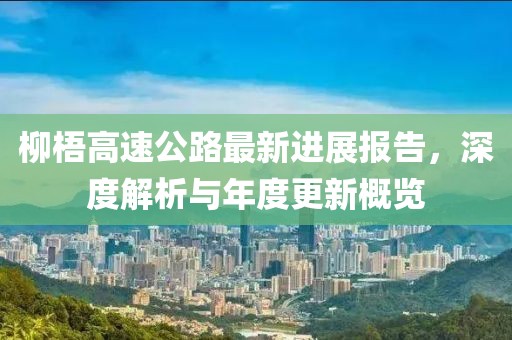 柳梧高速公路最新進展報告，深度解析與年度更新概覽