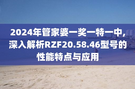 2024年管家婆一獎一特一中,深入解析RZF20.58.46型號的性能特點與應用