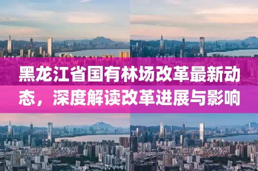黑龍江省國(guó)有林場(chǎng)改革最新動(dòng)態(tài)，深度解讀改革進(jìn)展與影響