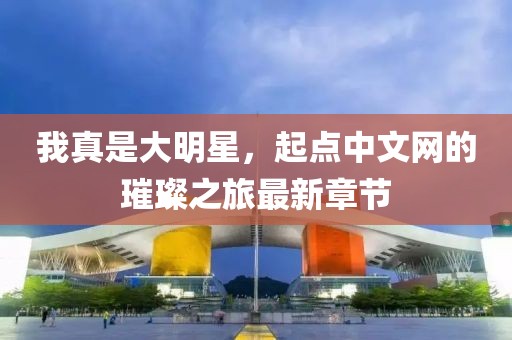 我真是大明星，起點(diǎn)中文網(wǎng)的璀璨之旅最新章節(jié)