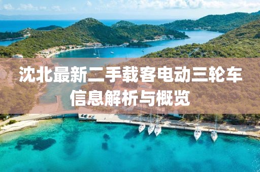 沈北最新二手載客電動(dòng)三輪車信息解析與概覽