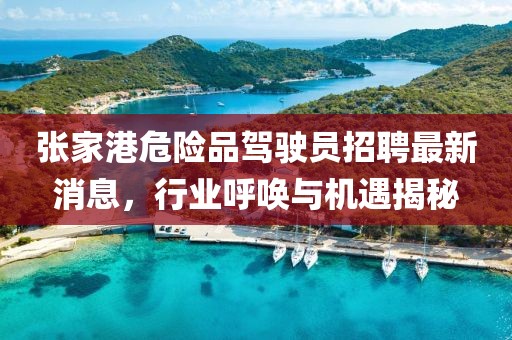 張家港危險品駕駛員招聘最新消息，行業(yè)呼喚與機遇揭秘