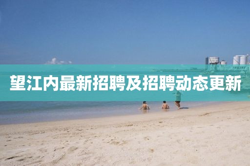 望江內(nèi)最新招聘及招聘動(dòng)態(tài)更新