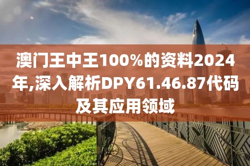 澳門王中王100%的資料2024年,深入解析DPY61.46.87代碼及其應(yīng)用領(lǐng)域