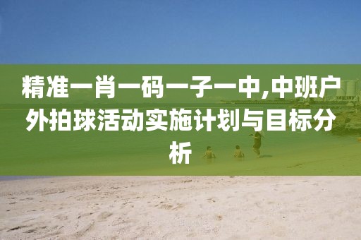 精準(zhǔn)一肖一碼一子一中,中班戶外拍球活動實(shí)施計(jì)劃與目標(biāo)分析