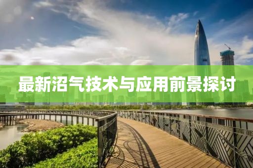 最新沼氣技術(shù)與應(yīng)用前景探討