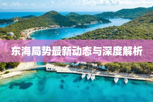 東海局勢最新動態(tài)與深度解析