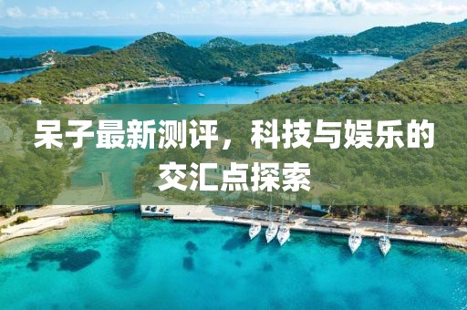 呆子最新測評，科技與娛樂的交匯點(diǎn)探索
