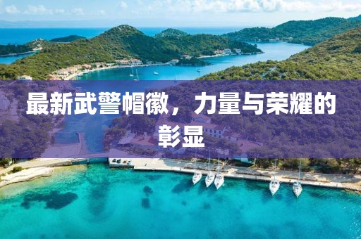 最新武警帽徽，力量與榮耀的彰顯