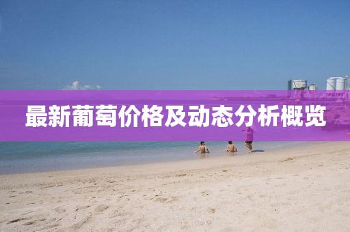 最新葡萄價(jià)格及動(dòng)態(tài)分析概覽