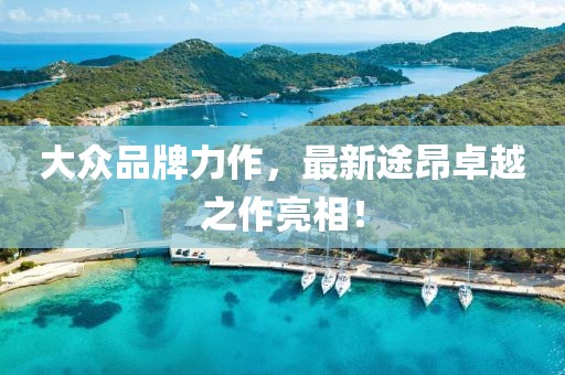 大眾品牌力作，最新途昂卓越之作亮相！