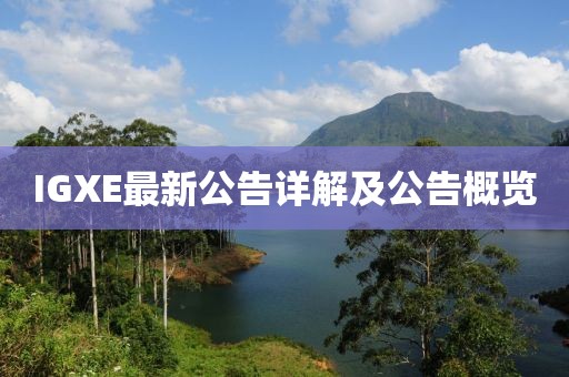 IGXE最新公告詳解及公告概覽
