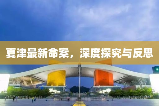 夏津最新命案，深度探究與反思