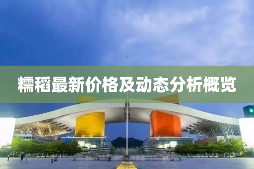 糯稻最新價格及動態(tài)分析概覽