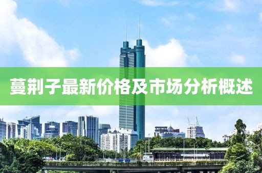 蔓荊子最新價格及市場分析概述