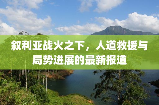 敘利亞戰(zhàn)火之下，人道救援與局勢(shì)進(jìn)展的最新報(bào)道