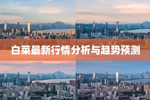 白菜最新行情分析與趨勢(shì)預(yù)測(cè)