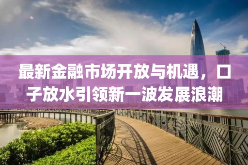 最新金融市場開放與機遇，口子放水引領新一波發(fā)展浪潮
