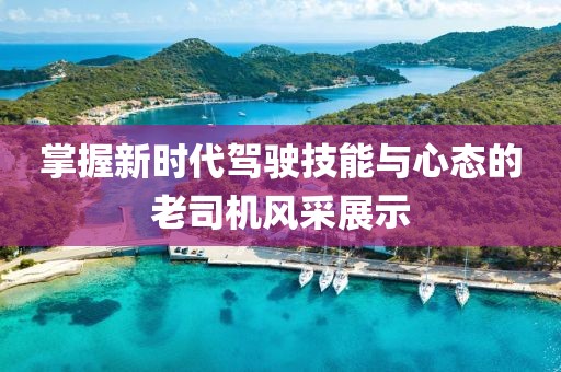 掌握新時(shí)代駕駛技能與心態(tài)的老司機(jī)風(fēng)采展示
