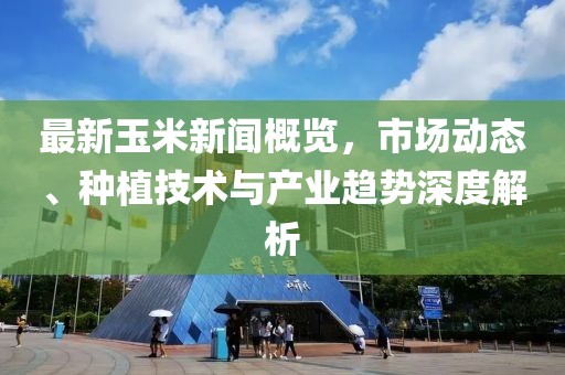 最新玉米新聞概覽，市場(chǎng)動(dòng)態(tài)、種植技術(shù)與產(chǎn)業(yè)趨勢(shì)深度解析