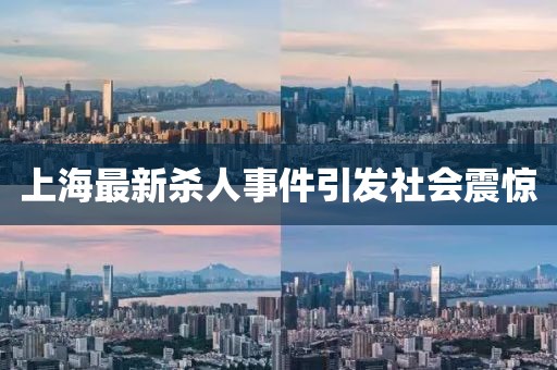 上海最新殺人事件引發(fā)社會(huì)震驚