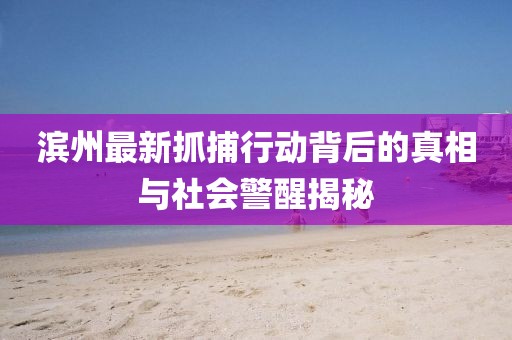 濱州最新抓捕行動(dòng)背后的真相與社會(huì)警醒揭秘