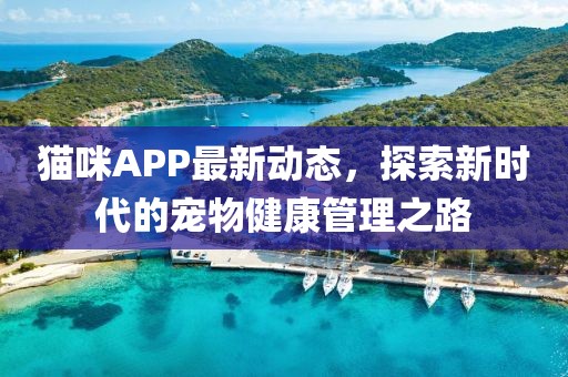貓咪APP最新動(dòng)態(tài)，探索新時(shí)代的寵物健康管理之路