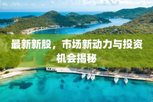 最新新股，市場新動力與投資機(jī)會揭秘