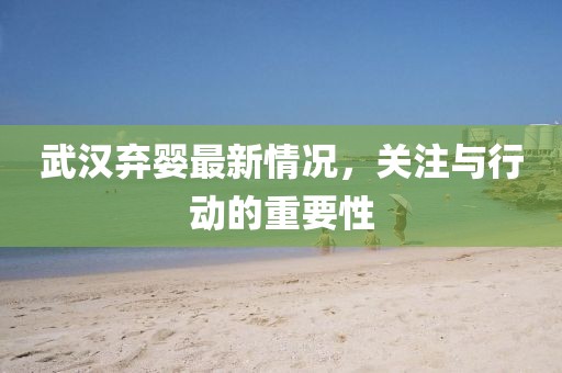 武漢棄嬰最新情況，關(guān)注與行動的重要性