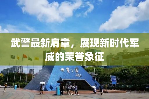 武警最新肩章，展現(xiàn)新時(shí)代軍威的榮譽(yù)象征