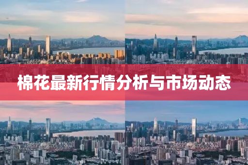 棉花最新行情分析與市場動態(tài)